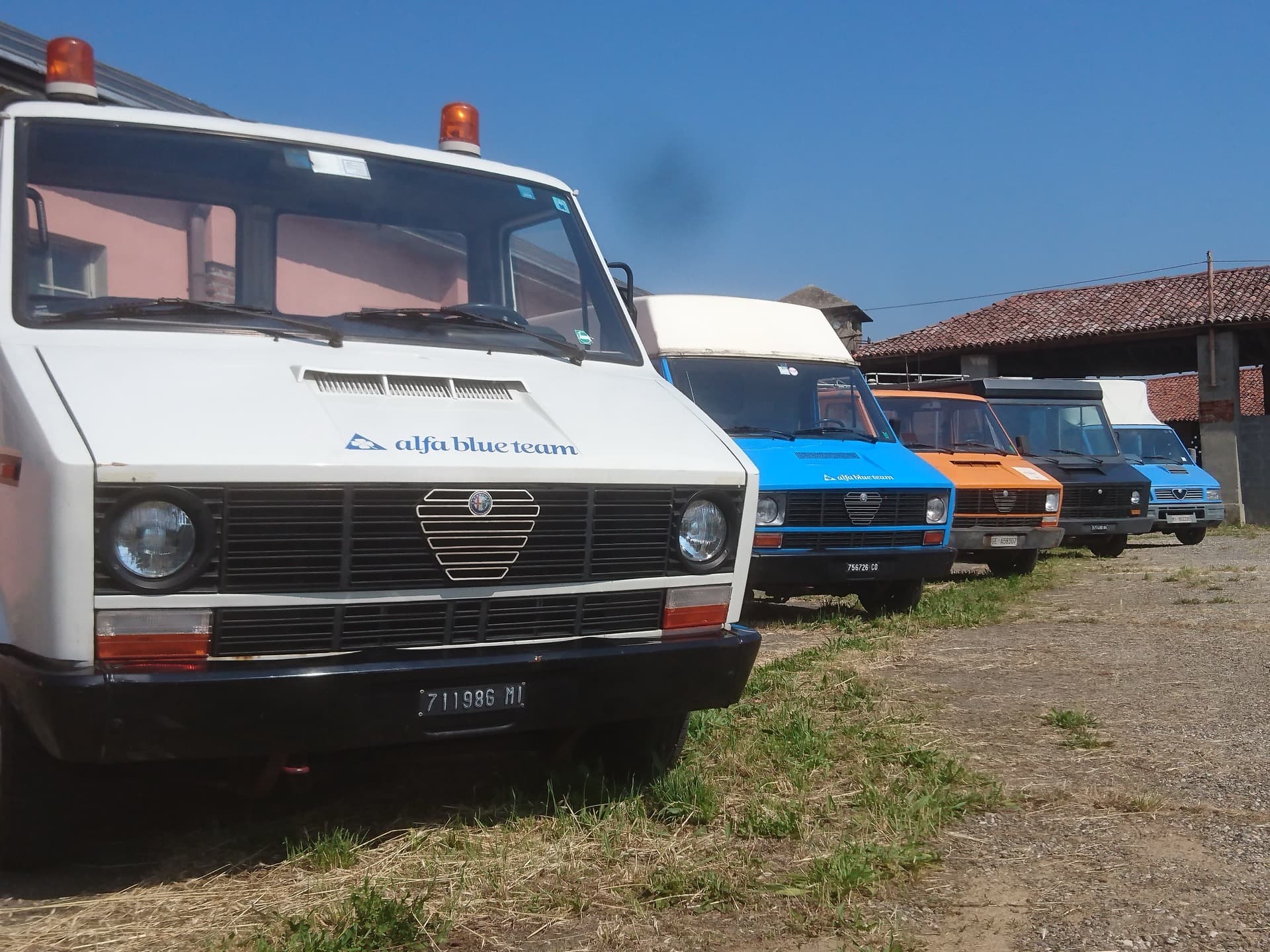 Alfa Blue Team - collezione vetture